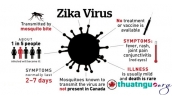 Tác hại từ virus zika